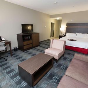King Room Sofa Bed Hearing Accessible or Non-Smoking